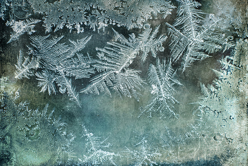 christmas frost white texture