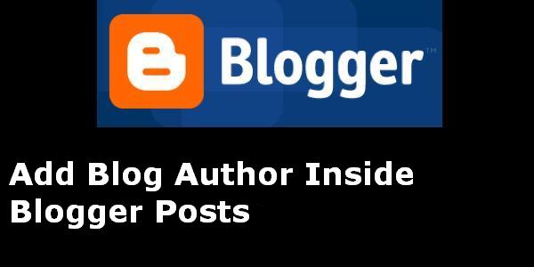 author box inside blogger posts