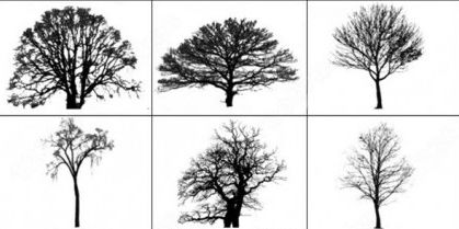 28 Free Photoshop Tree Brushes