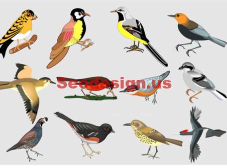 Colorful Birds Vector Art