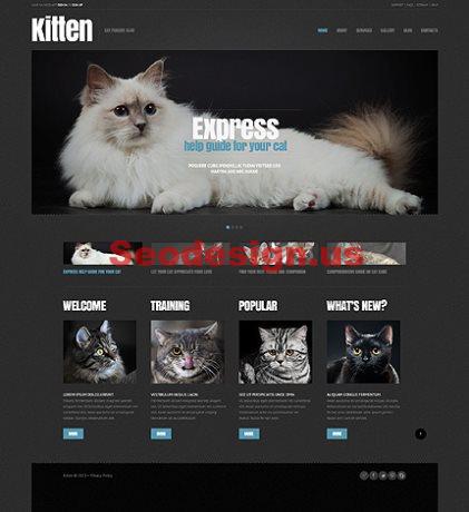 Best Pets Animals Wordpress Themes
